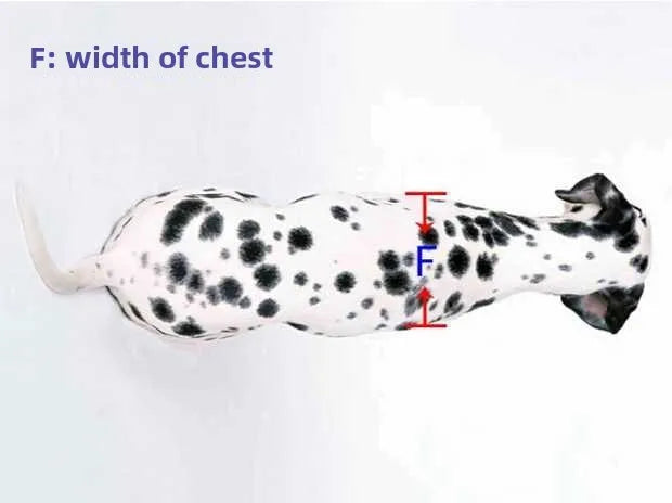Large Dog Wheelchair for Hind Limb Rehabilitation Training Walking for Teddy Aid for Paralysis Spondylitis Mobility Assistance