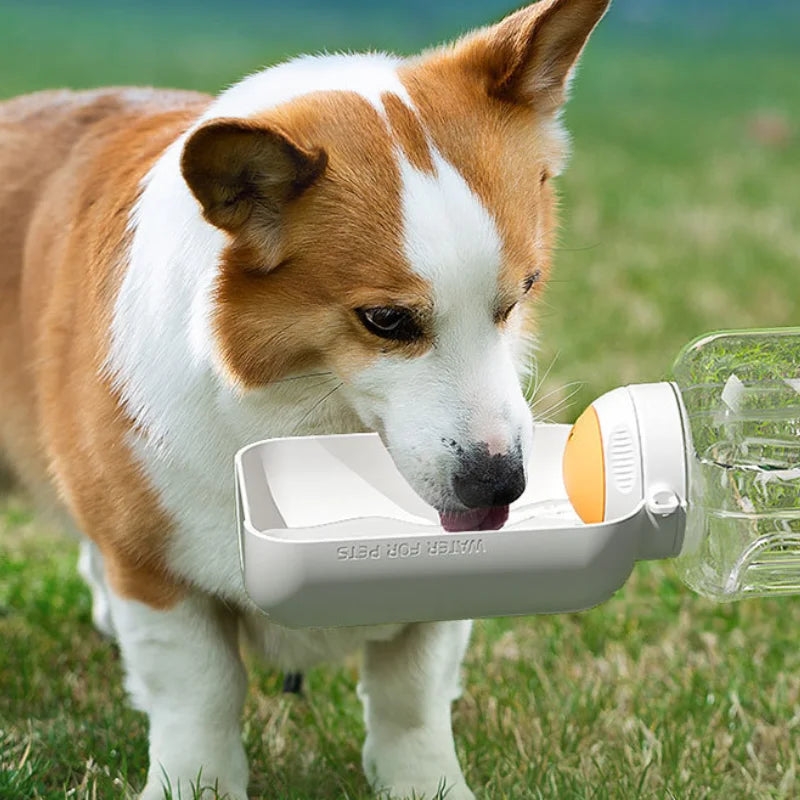 Large Capacity Water and Food Integrated Pet Supplies for Cats and Dogs
