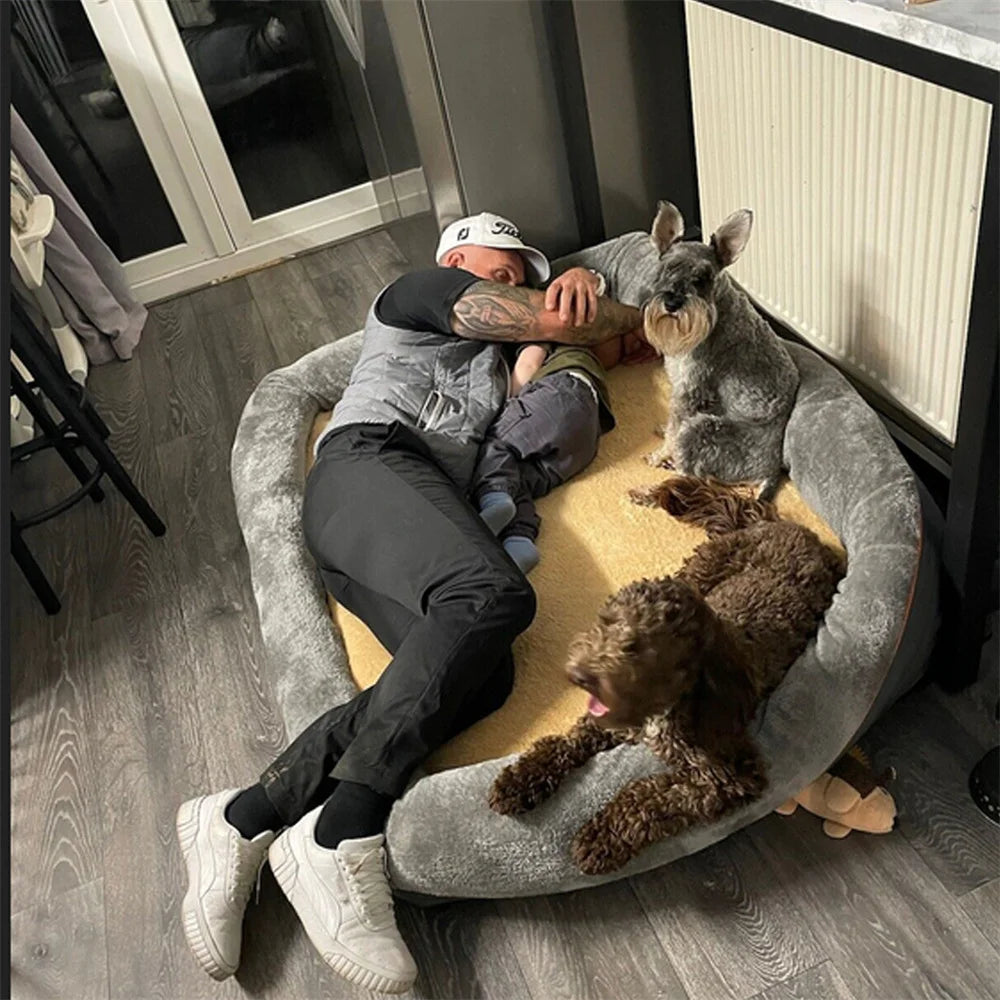 Jumbo Large Orthopedic Dog Bed, Waterproof, Elevated Cushion, Removable Cover