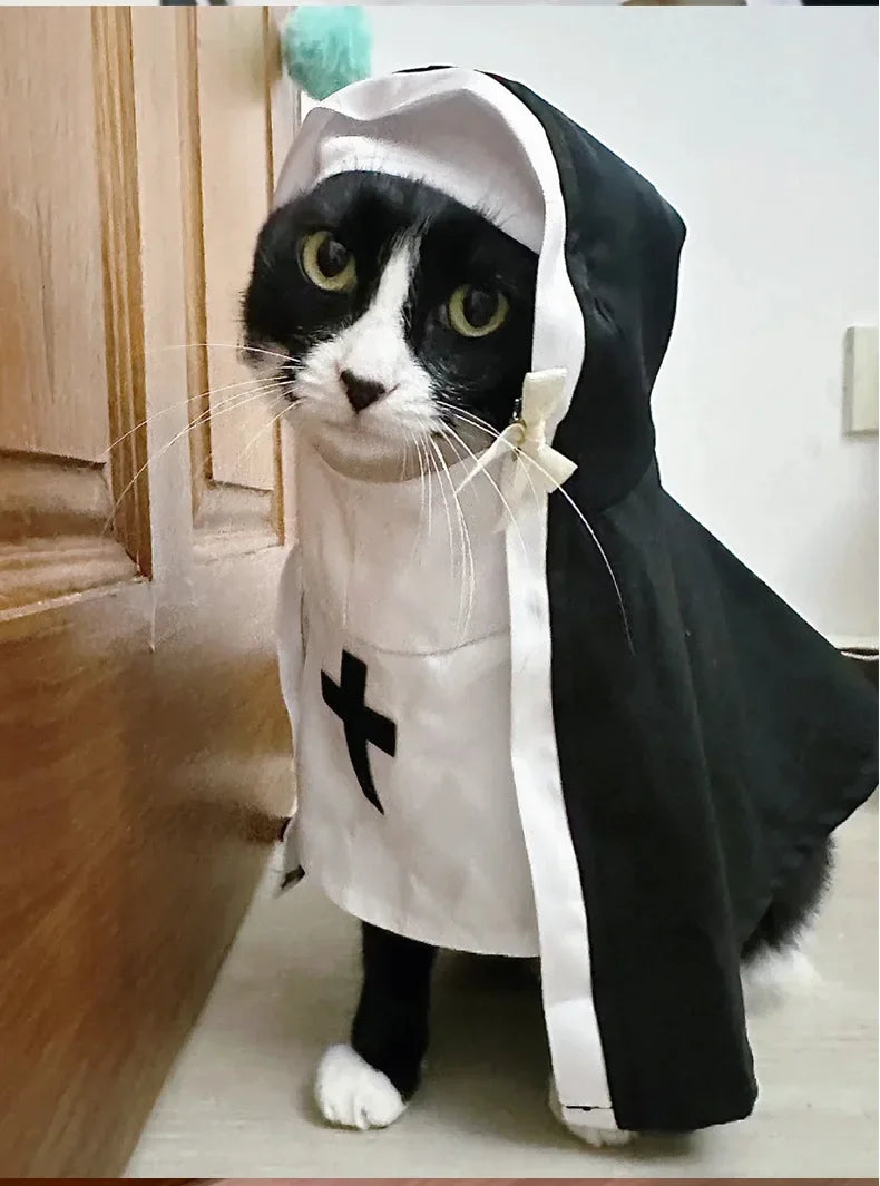 Cat Halloween Costumes Cats and Dogs Cross-dressing Funny COS Small and Medium-sized Pet Photo Props Funny Costumes Supplies