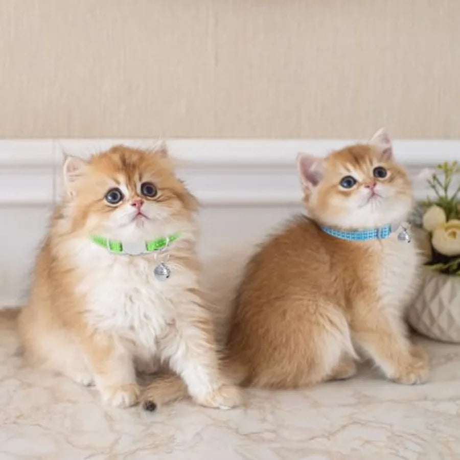 5 Pack Reflective Cat Collars with Bell Breakaway Cat Collars Adjustable Safety Kitten Collar Colorful Soft Small Cats Collar f