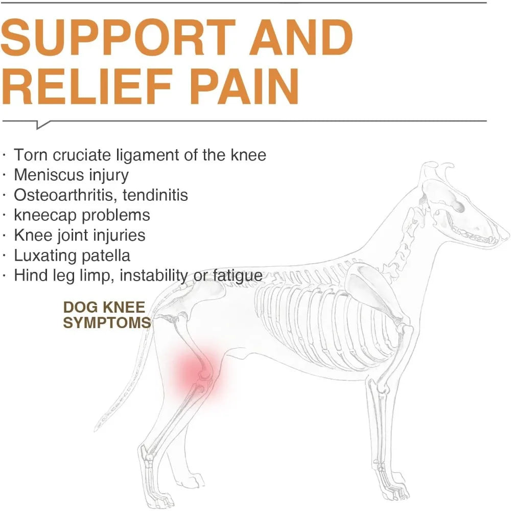 Hot Sale Dog ACL Knee Brace for Torn ACL Leg Luxating Patella Dog Knee Braces for Back Leg Warm Joint and Relieves Joint Pain