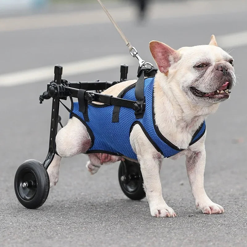 Adjustable Dog Wheelchair for Hind Limb Mobility Aid Rehabilitation Trolley for Disabled Dogs
