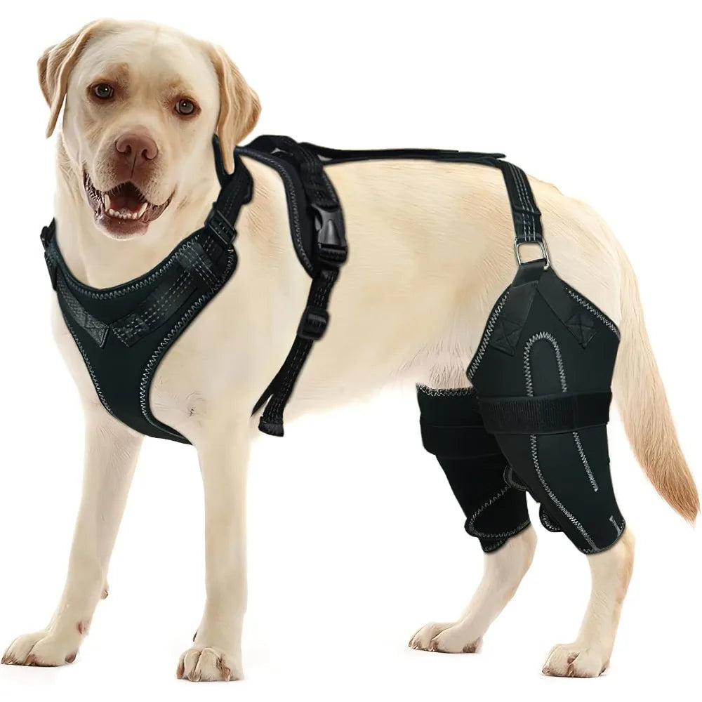 Hot Sale Dog ACL Knee Brace for Torn ACL Leg Luxating Patella Dog Knee Braces for Back Leg Warm Joint and Relieves Joint Pain