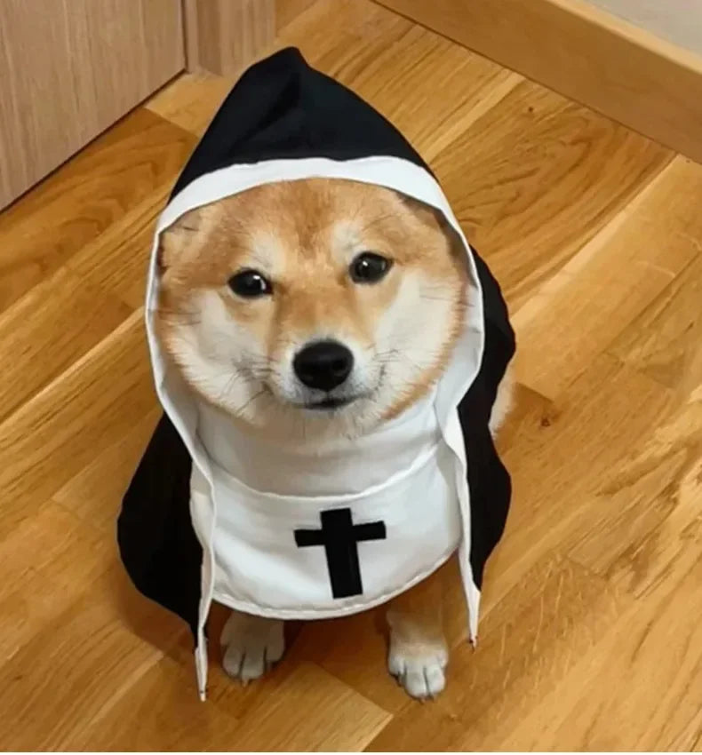 Cat Halloween Costumes Cats and Dogs Cross-dressing Funny COS Small and Medium-sized Pet Photo Props Funny Costumes Supplies
