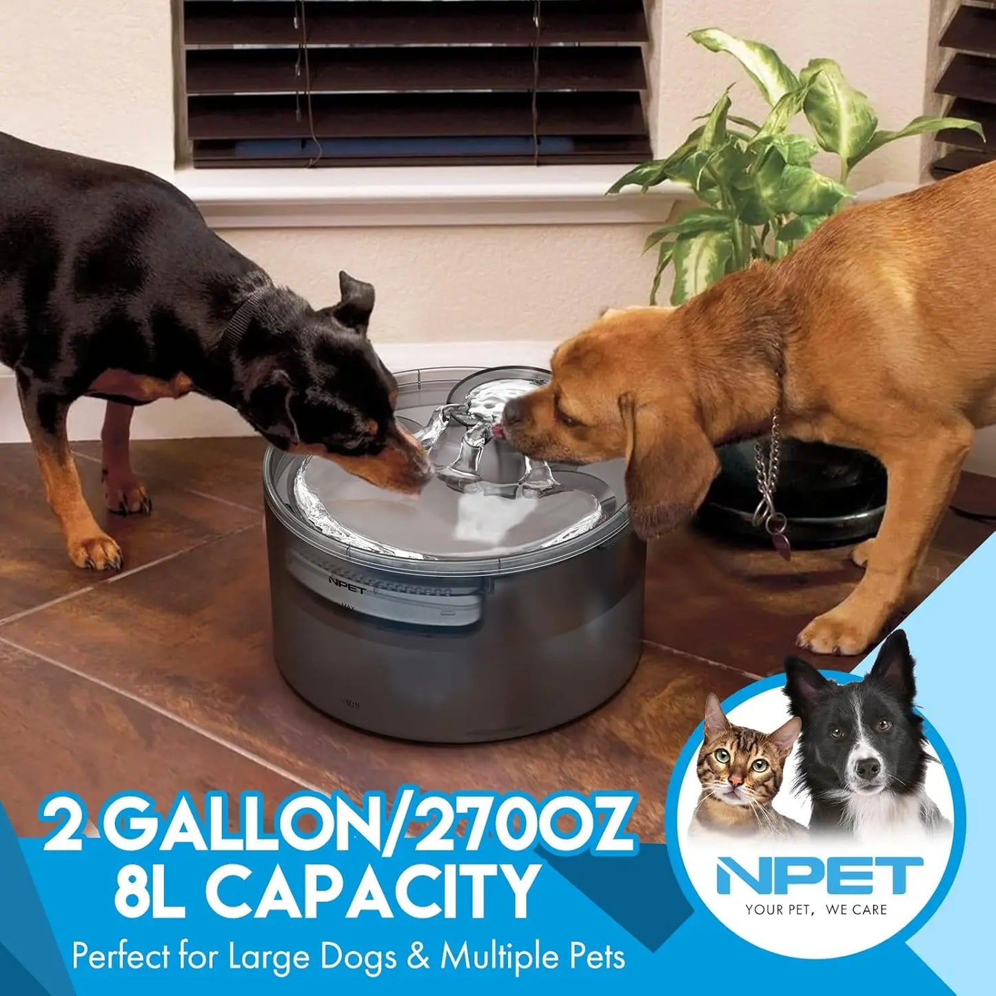 2 Gallon Dog Water bowl with Splatter Guard for Large Dogs