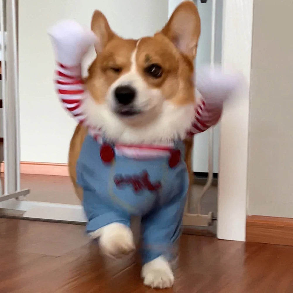Halloween Dog Costumes Funny Pet Clothes Adjustable Dog Cosplay Costume Sets Novelty Clothing For Medium Large Dogs Pets Clothes
