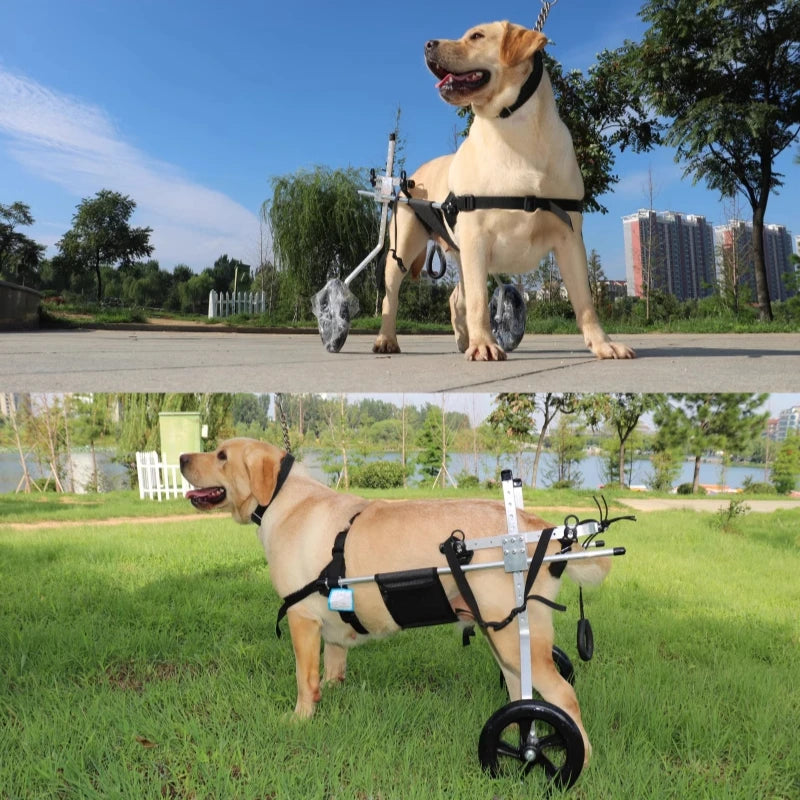 Large Dog Wheelchair for Hind Limb Rehabilitation Training Walking for Teddy Aid for Paralysis Spondylitis Mobility Assistance