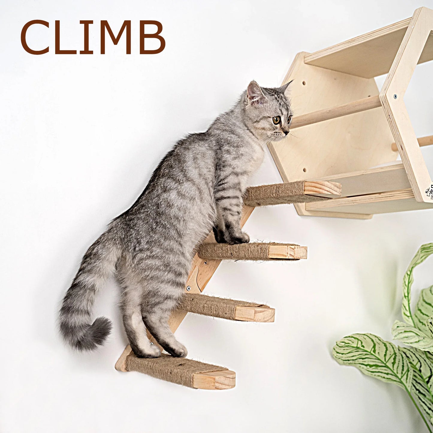 Wall-Mounted Cat Climbing Cat Trees Tower and Scratching Post Cats Hammock Jumping Platform with Pedals Wall Wooden Furniture