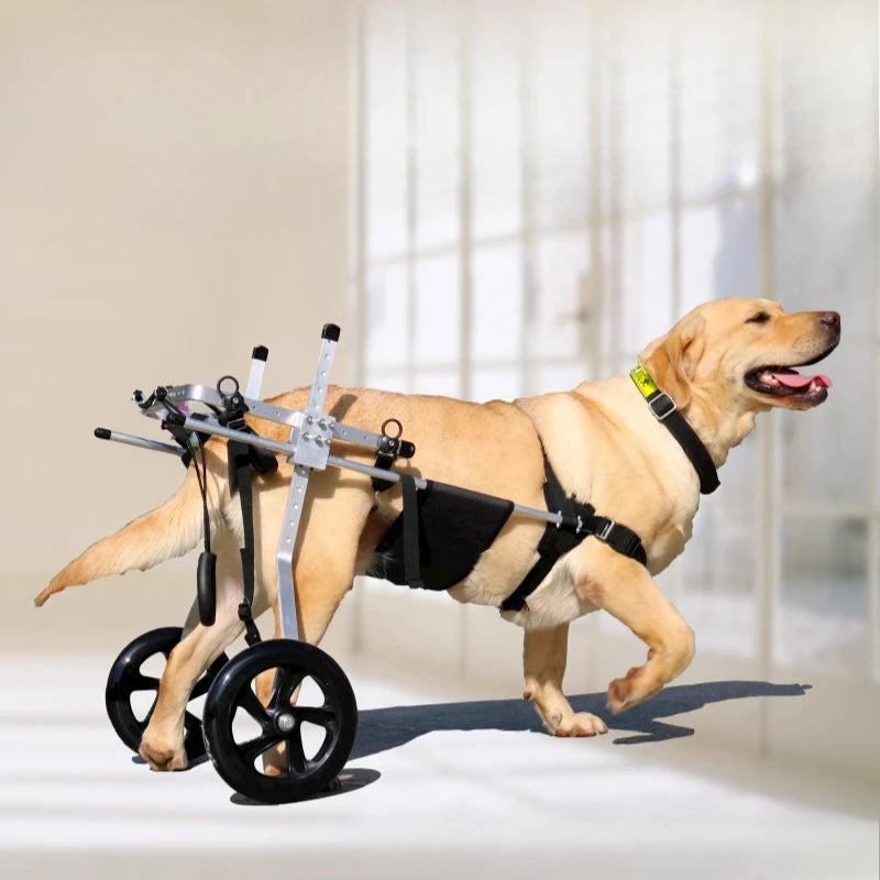 Large Dog Wheelchair for Hind Limb Rehabilitation Training Walking for Teddy Aid for Paralysis Spondylitis Mobility Assistance