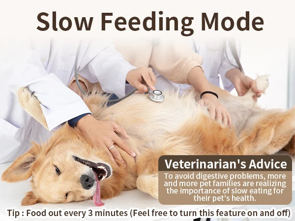 Smart Automatic Cat Feeders WiFi Pet Feeder with APP Control