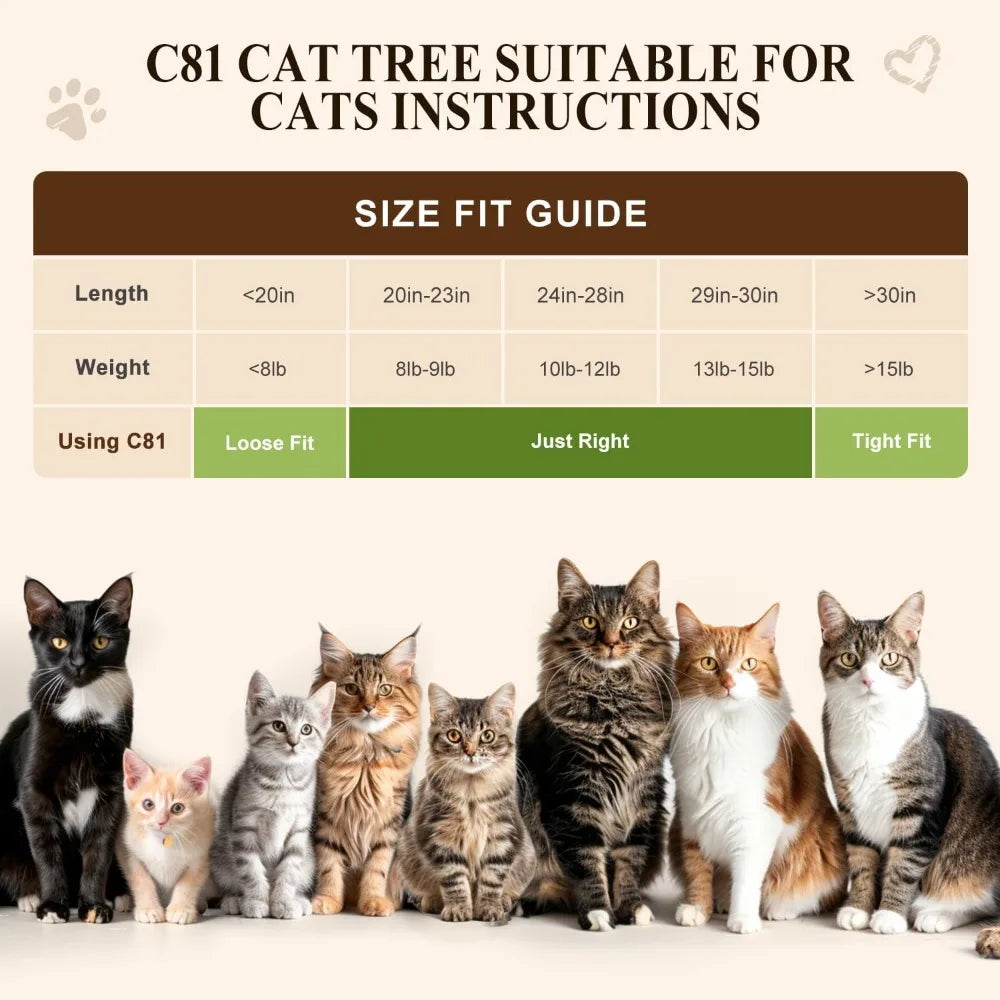 Artistic Curved Cat Tower for Small Cats (Under 12 lbs), 81-inch Slim Design Cat Tree with Space-Saving Design, Indoor Cat Condo
