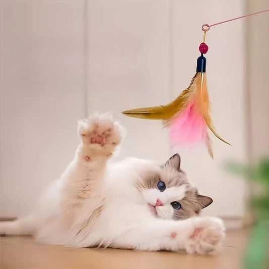 Cat Toy Feather Head Cat Teaser Stick with Bell Cat Teaser Toy - Interactive Bell & Feather Wand Pet Supplies