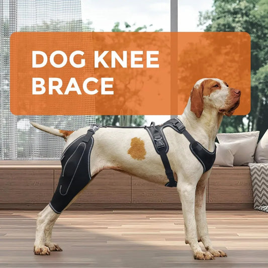 Hot Sale Dog ACL Knee Brace for Torn ACL Leg Luxating Patella Dog Knee Braces for Back Leg Warm Joint and Relieves Joint Pain
