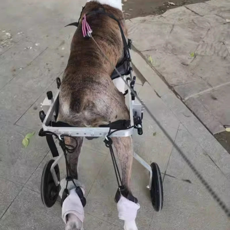 Large Dog Wheelchair for Hind Limb Rehabilitation Training Walking for Teddy Aid for Paralysis Spondylitis Mobility Assistance