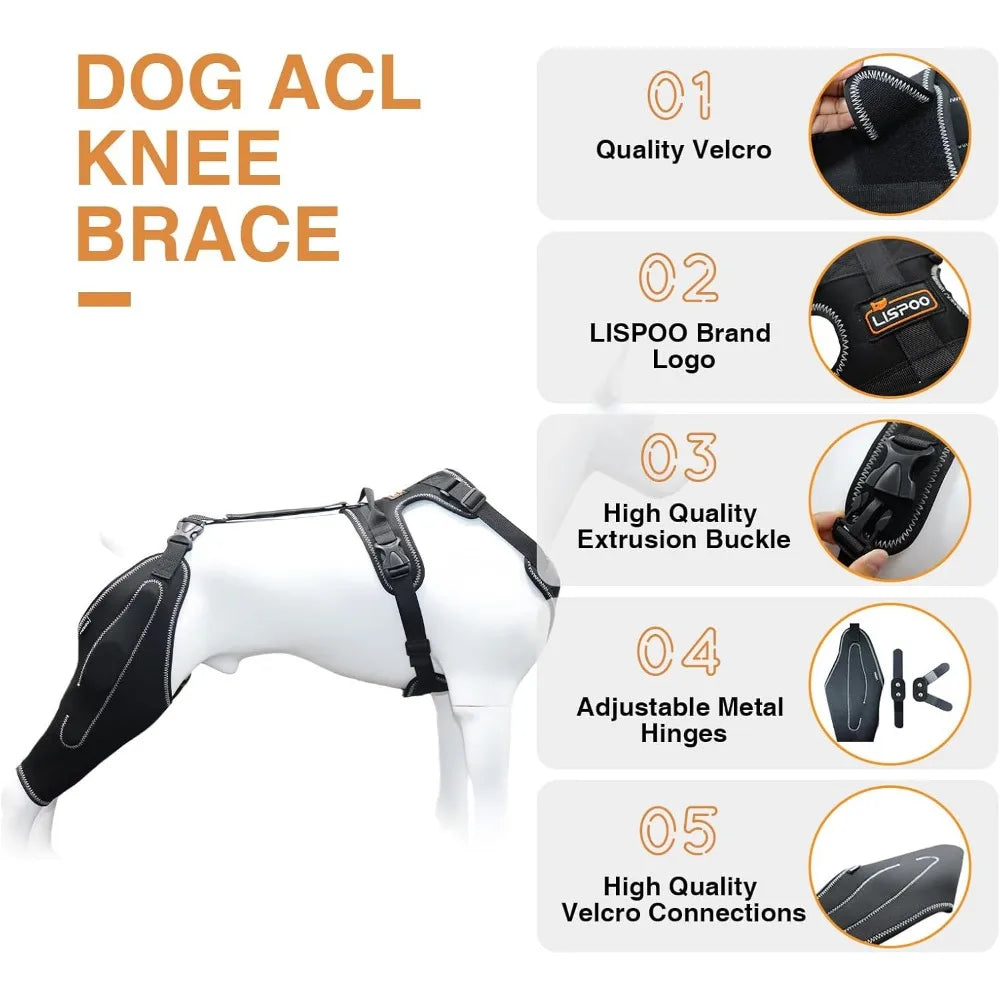 Hot Sale Dog ACL Knee Brace for Torn ACL Leg Luxating Patella Dog Knee Braces for Back Leg Warm Joint and Relieves Joint Pain