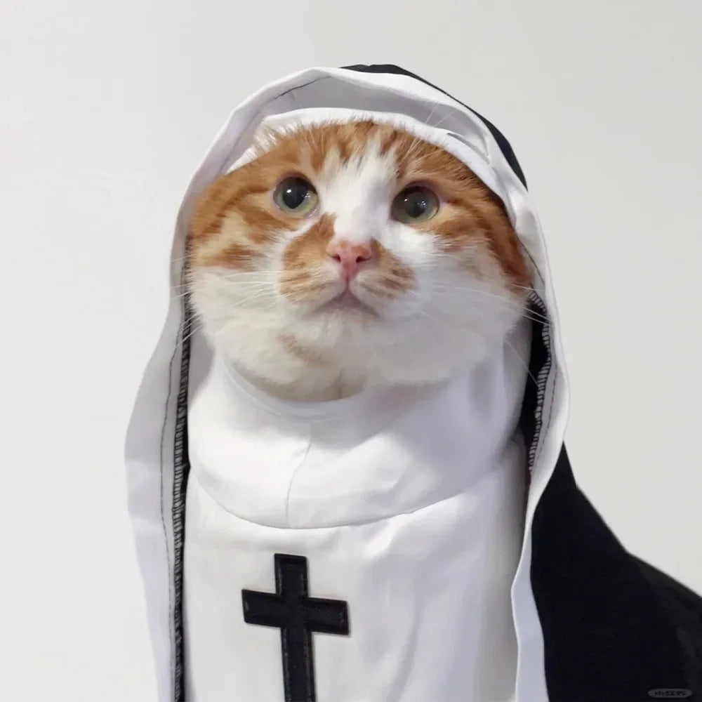 Cat Halloween Costumes Cats and Dogs Cross-dressing Funny COS Small and Medium-sized Pet Photo Props Funny Costumes Supplies