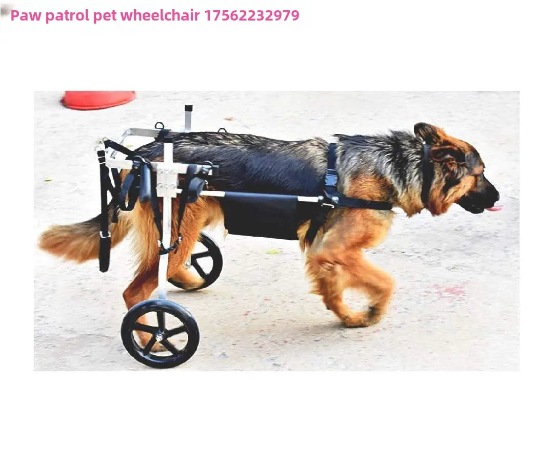 Large Dog Wheelchair for Hind Limb Rehabilitation Training Walking for Teddy Aid for Paralysis Spondylitis Mobility Assistance