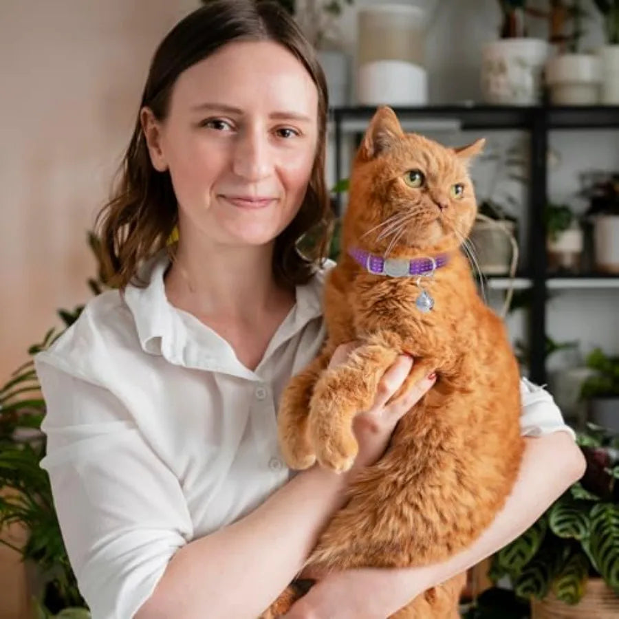 5 Pack Reflective Cat Collars with Bell Breakaway Cat Collars Adjustable Safety Kitten Collar Colorful Soft Small Cats Collar f