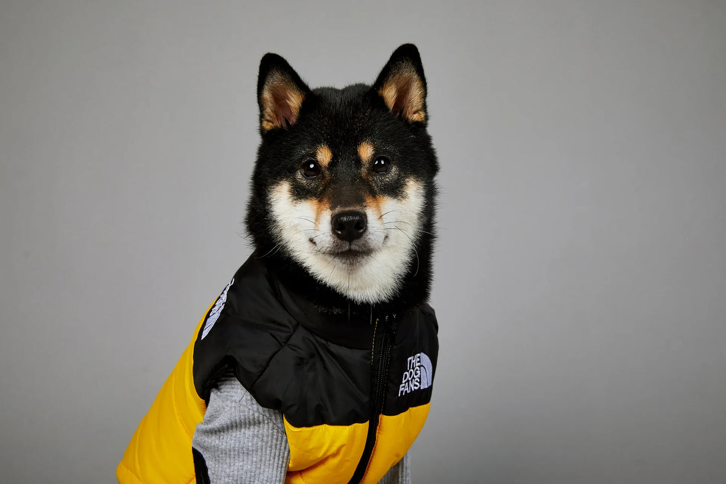 The Dog Face Toys Dog Clothes Cute Accessories Wholesale Birthday Gifts Pet Supplies Trendy Brand Thermal Assault Suit Presents